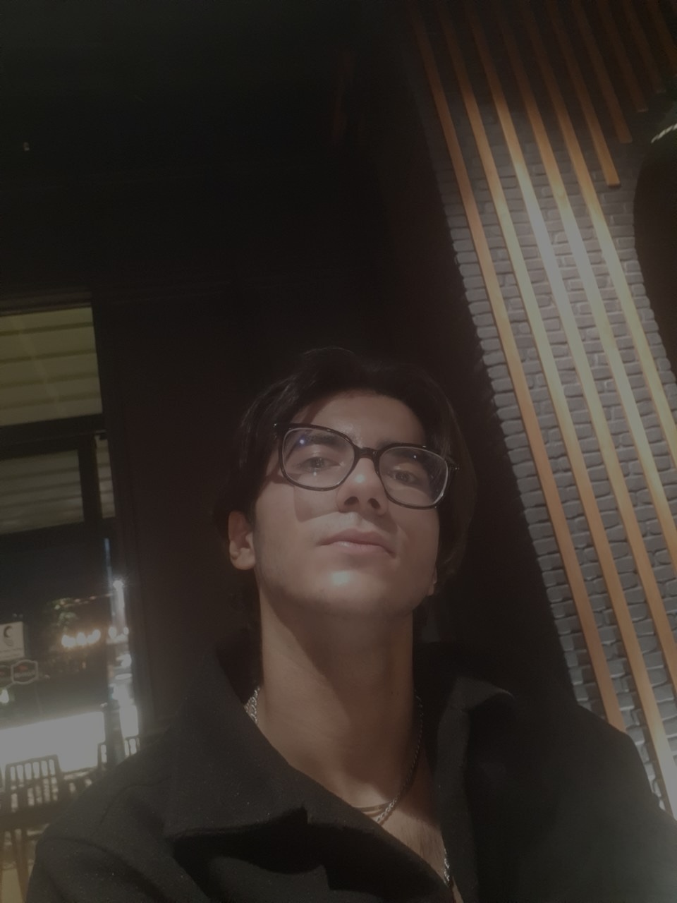 آرین احمدنژاد